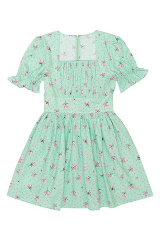 Popham Dress in Mint Rose