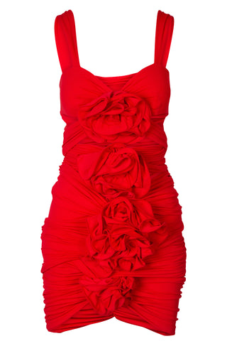 Floral Detailed Mini Dress in Red | new with tags (est. retail $1,765)