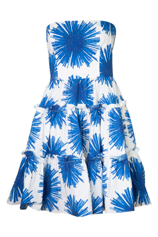 Torres Mini Dress in Starburst Blue | (est. retail $495)
