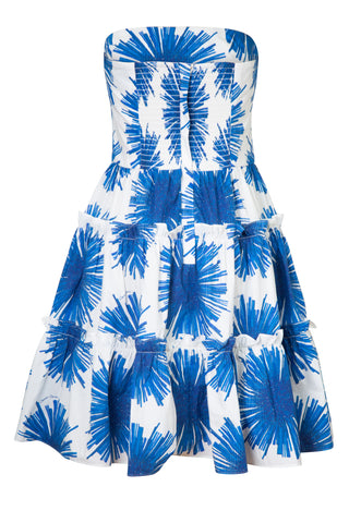 Torres Mini Dress in Starburst Blue | (est. retail $495)