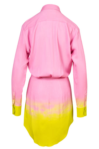 The Nouveau Mini Button-front Shirtdress | (est. retail $1,495) Dresses Brandon Maxwell   