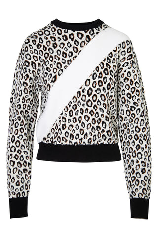 Animal Print Asymmetric Striped Sweater Sweaters & Knits Givenchy   