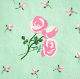 Popham Dress in Mint Rose