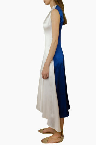 Sasilda Two Tone Dress